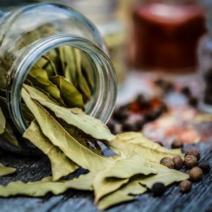Feuilles de laurier