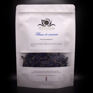 Fleurs de muscari
