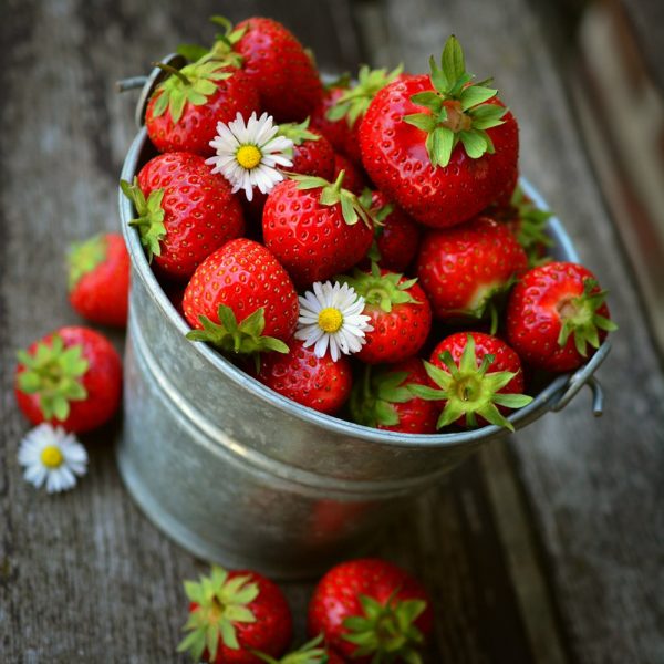 Fraises