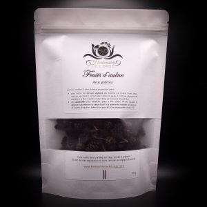 Fruits d’aulne