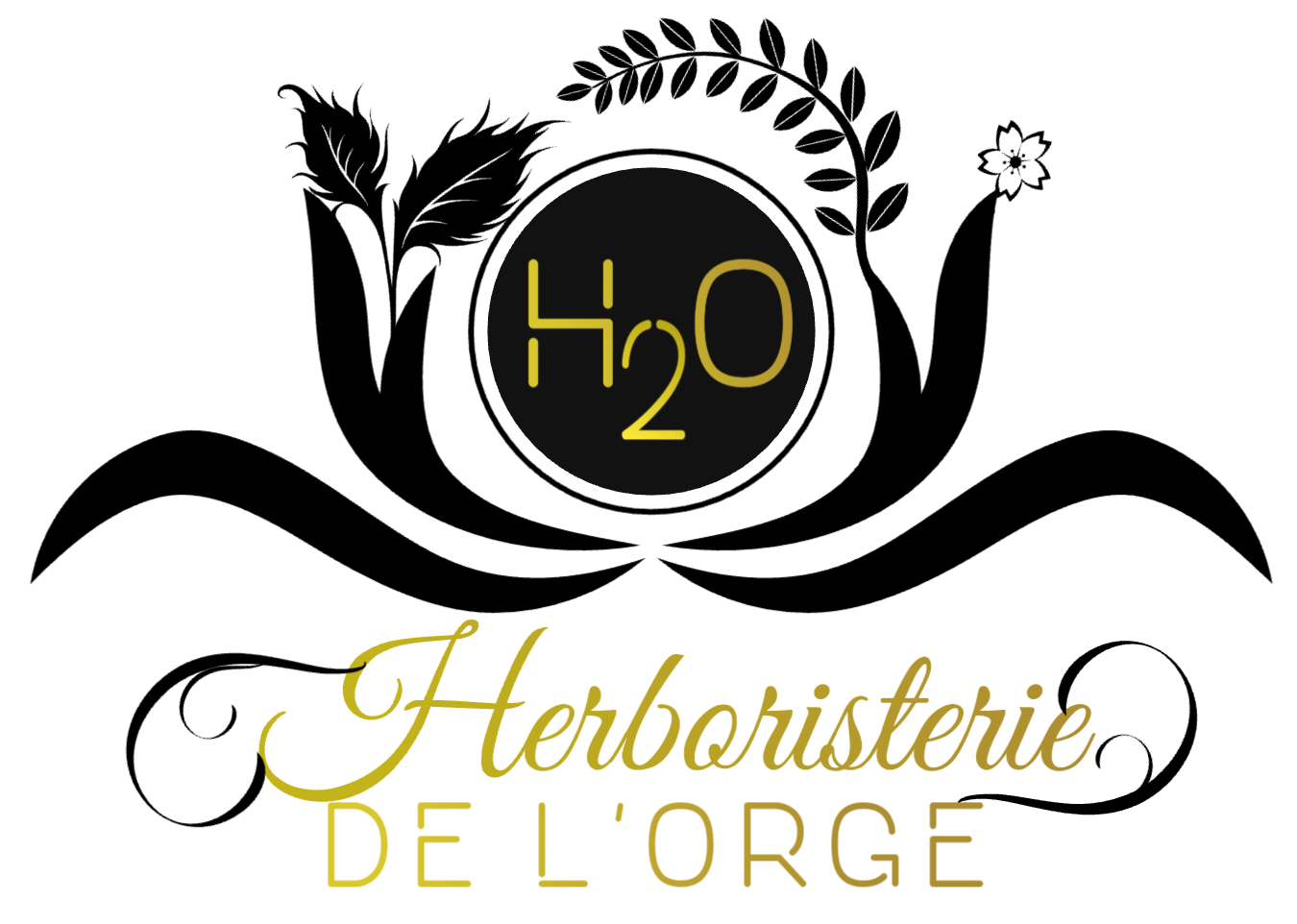 Logo H20