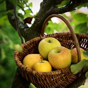 Confiture de pommes