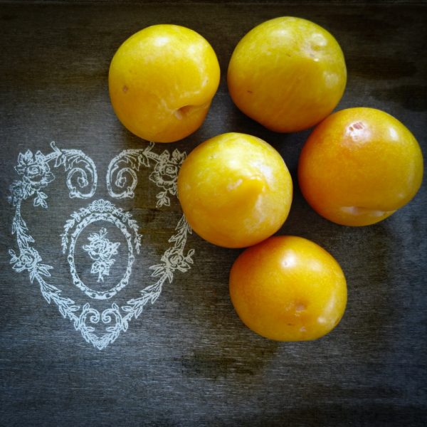 prunes