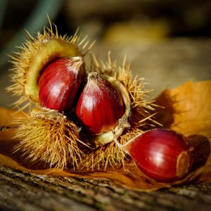 Crème de marrons