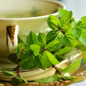 Infusion digestive « YNGIVAS »