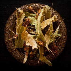 Inflorescences de tilleul